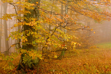 Similar image 1194960