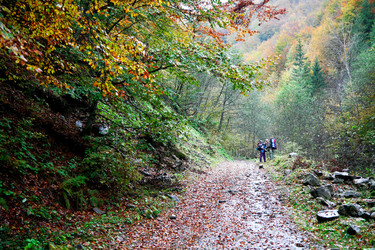 Similar image 1194962