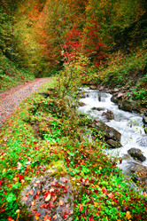 Similar image 1194963