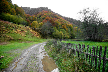 Similar image 1194965