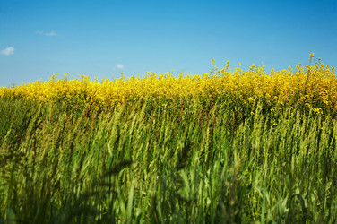 Similar image 1194967