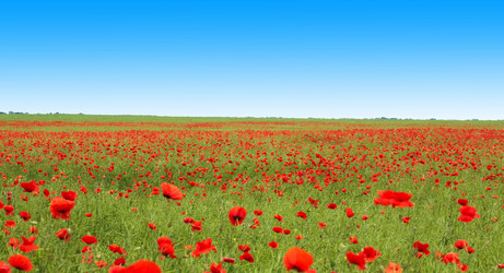 Similar image 1194970