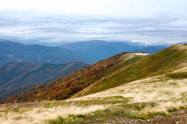 Similar image 1194974