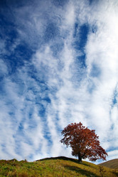 Similar image 1194977