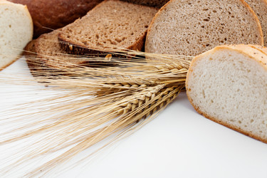 Similar image 1194985