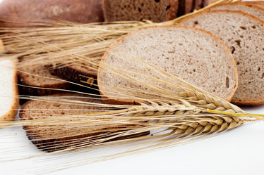 Similar image 1194986