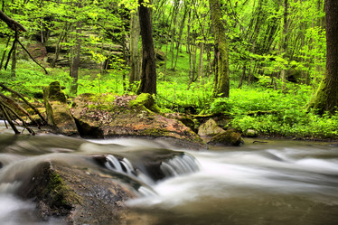 Similar image 1194988