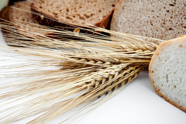 Similar image 1194993