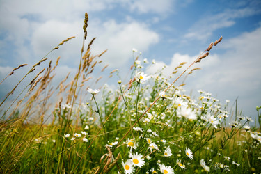 Similar image 1194996