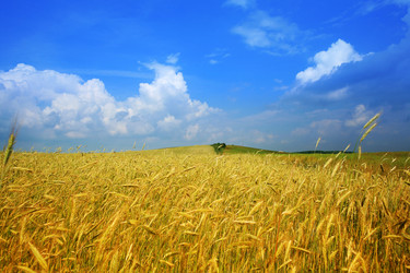 Similar image 1194999