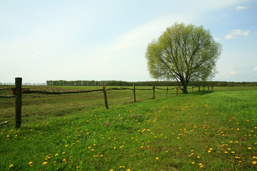 Similar image 1195006