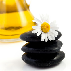 Similar image 1195027