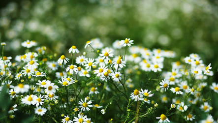 Similar image 1195034