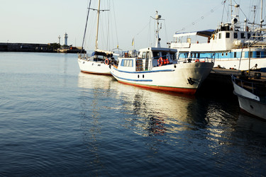 Similar image 1195036