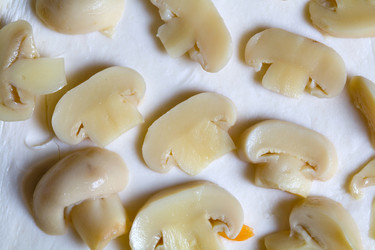 Similar image 1195055