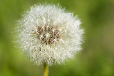 Similar image 1195062