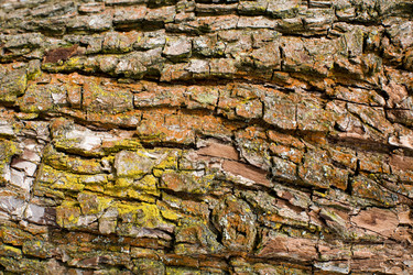 Similar image 1195068