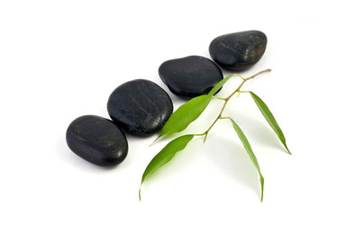 Similar image 1195081