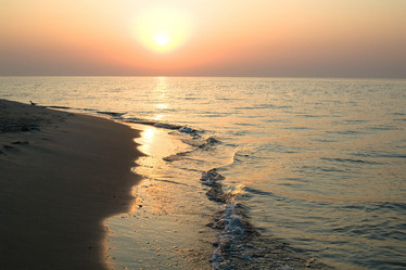 Similar image 1195101