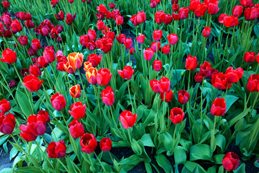 Similar image 1195102