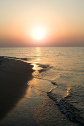 Similar image 1195108