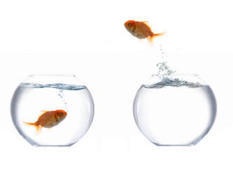 Similar image 1195119