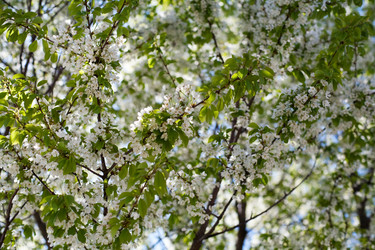 Similar image 1195125