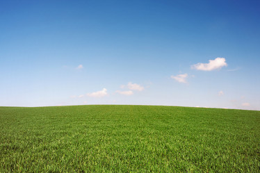 Similar image 1195128