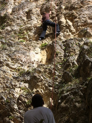 Similar image 1195137