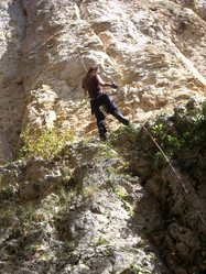 Similar image 1195138