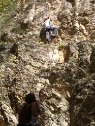 Similar image 1195139