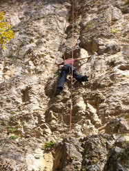 Similar image 1195140