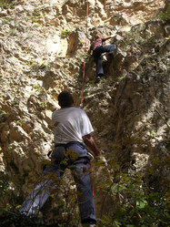 Similar image 1195141