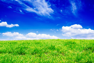 Similar image 1195148