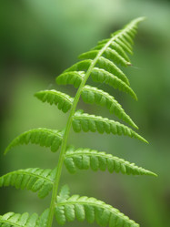 Similar image 1195162