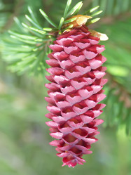 Similar image 1195165