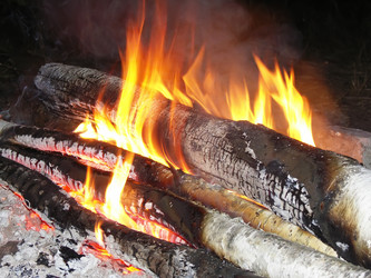 Similar image 1195166