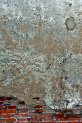 Similar image 1195179