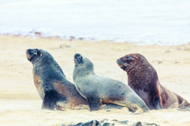 Similar image 1195242