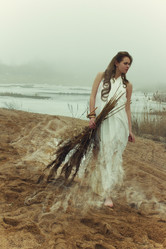 Similar image 1195249