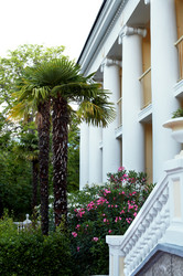 Similar image 1195251