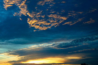 Similar image 1195259