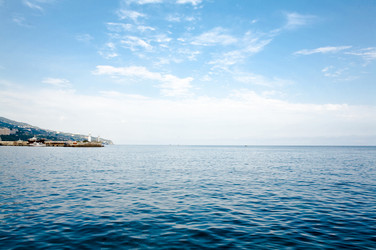 Similar image 1195265