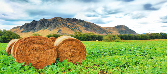 Similar image 1195275