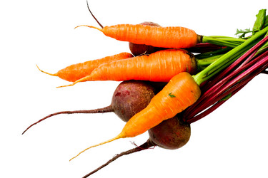 Similar image 1195285