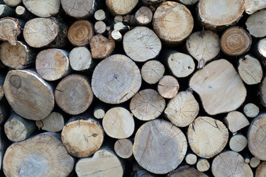 Similar image 1195287