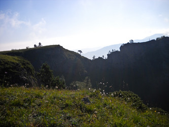 Similar image 1195293