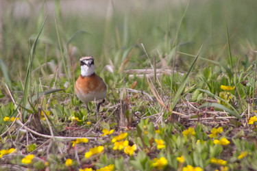 Similar image 1195296