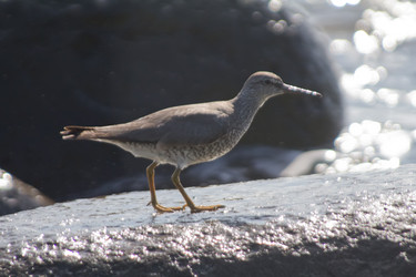 Similar image 1195298