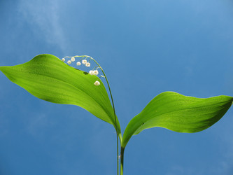 Similar image 1195310